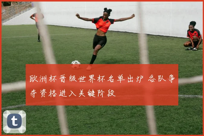 欧洲杯晋级世界杯名单出炉 各队争夺资格进入关键阶段
