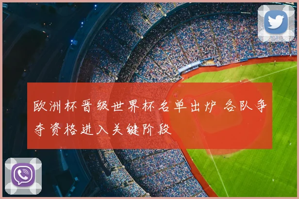 欧洲杯晋级世界杯名单出炉 各队争夺资格进入关键阶段